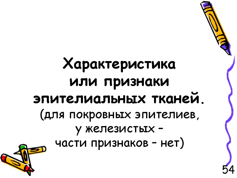 Характеристика  или признаки эпителиальных тканей. (для покровных эпителиев,  у железистых – 